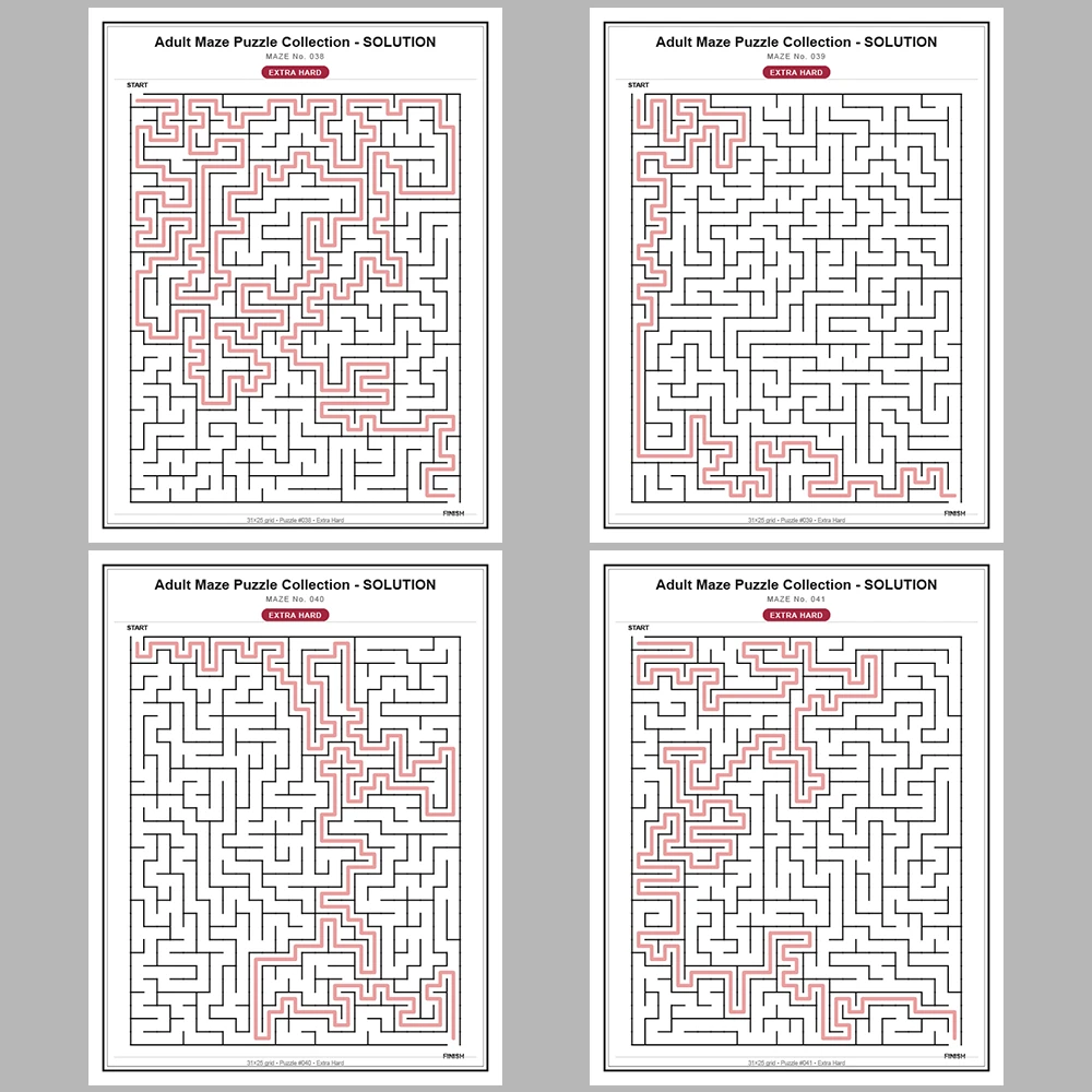 Maze Puzzle Extra Hard 50 Pages of Puzzles – Vol. 1
