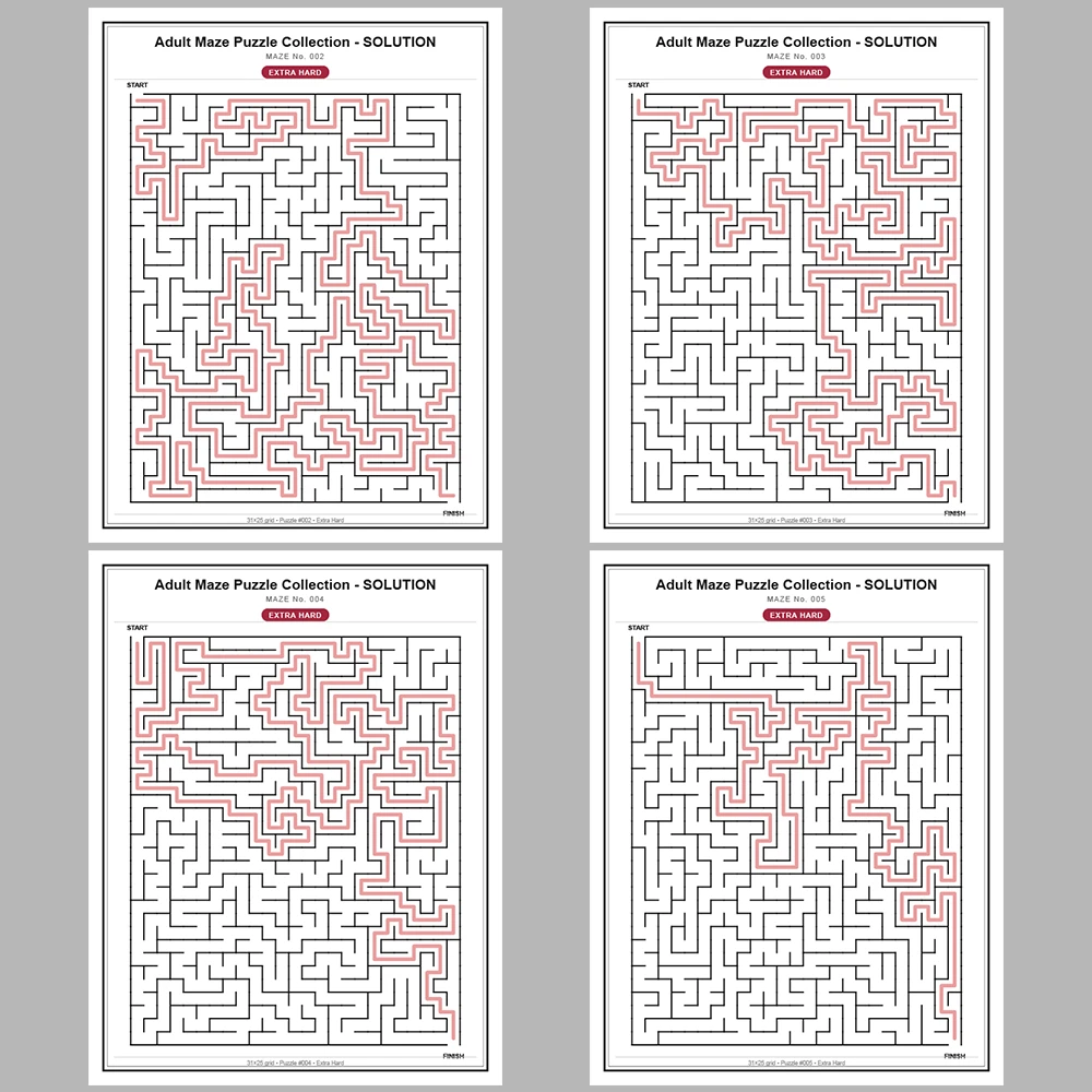 Maze Puzzle Extra Hard 50 Pages of Puzzles – Vol. 1