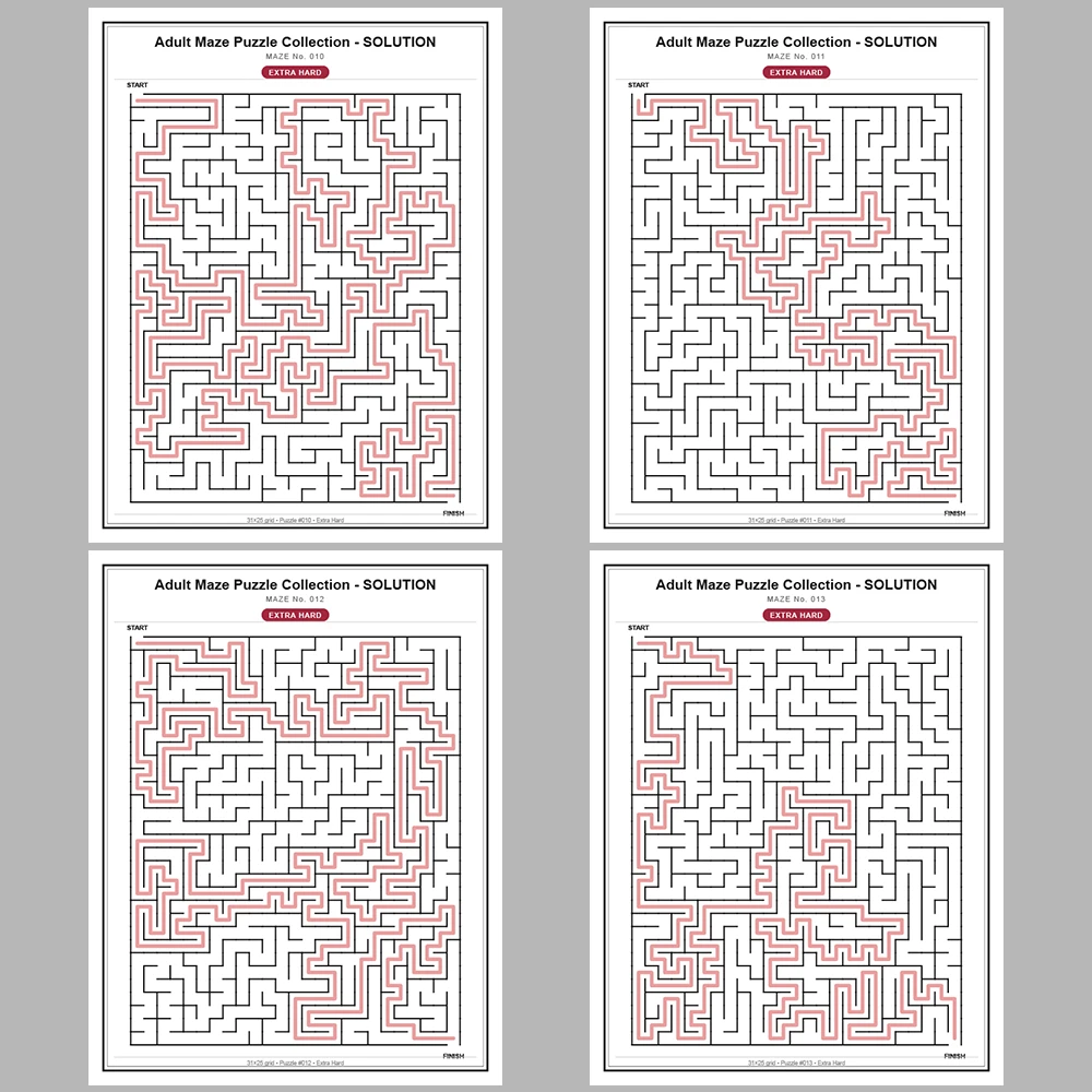 Maze Puzzle Extra Hard 50 Pages of Puzzles – Vol. 1