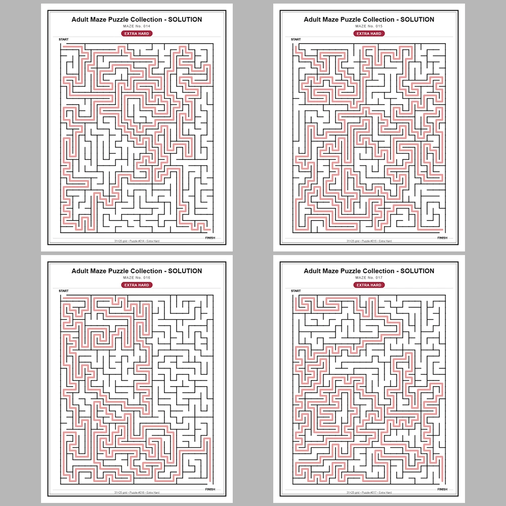 Maze Puzzle Extra Hard 50 Pages of Puzzles – Vol. 1