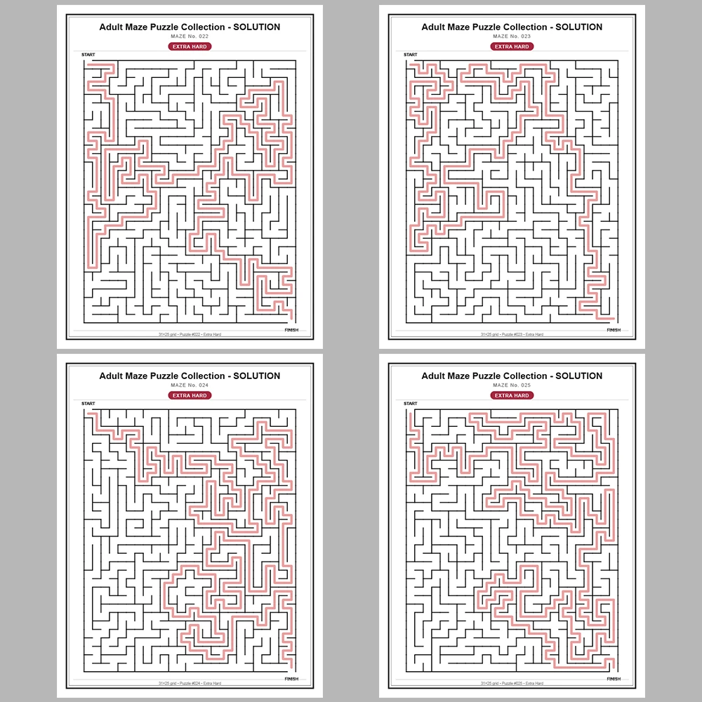 Maze Puzzle Extra Hard 50 Pages of Puzzles – Vol. 1
