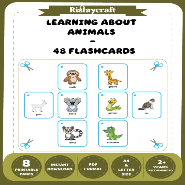Animals 48 Flashcards