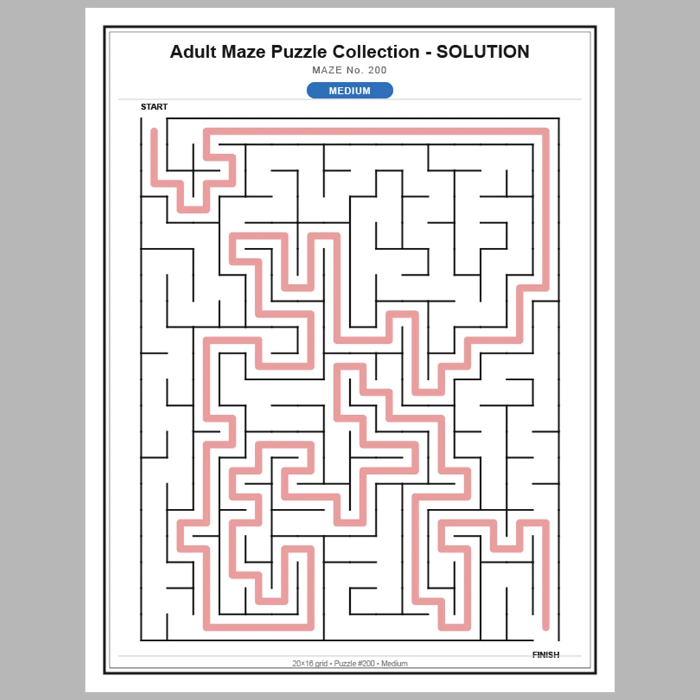 Maze Puzzle Medium 50 Pages of Puzzles – Vol. 5