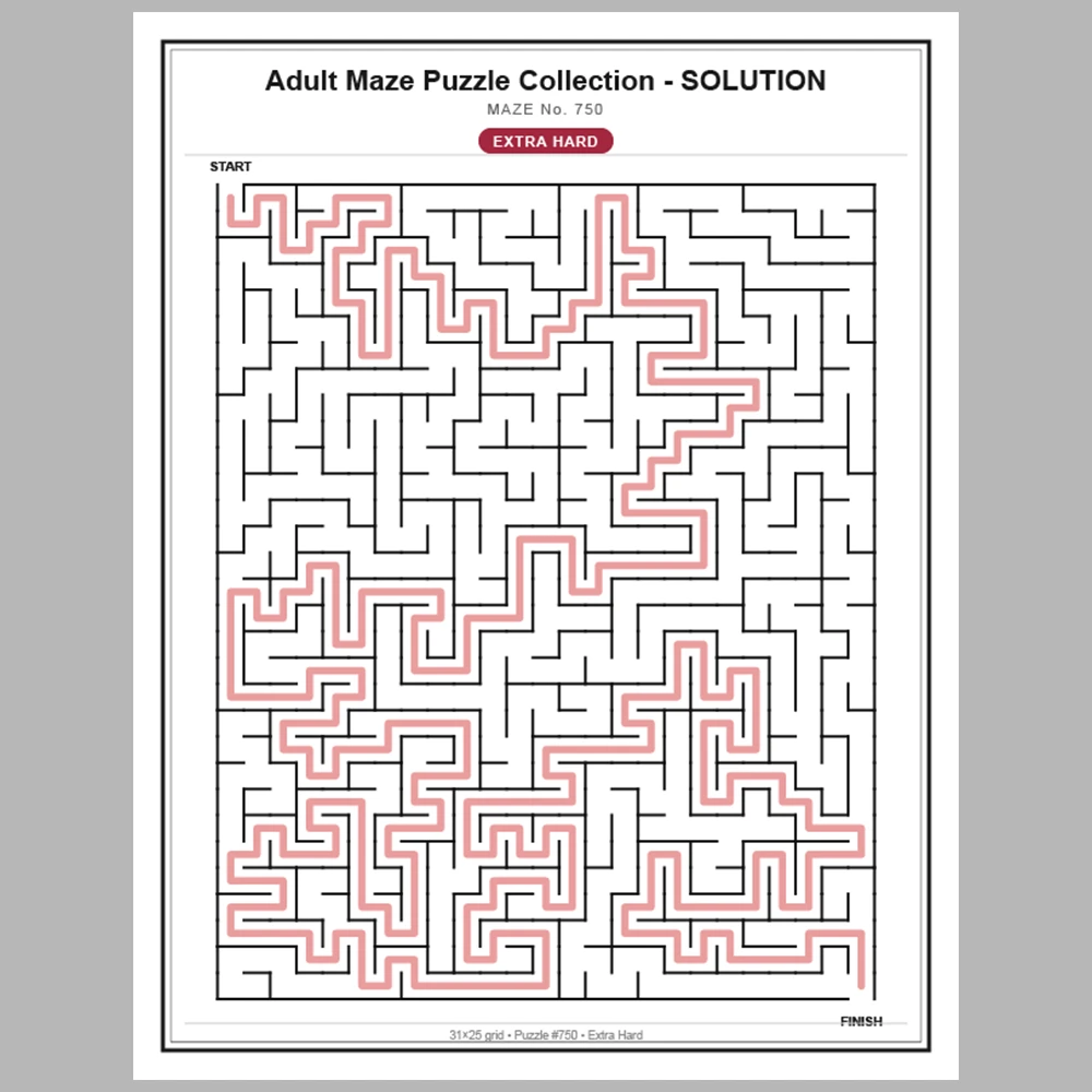 Maze Puzzle Extra Hard 50 Pages of Puzzles – Vol. 16