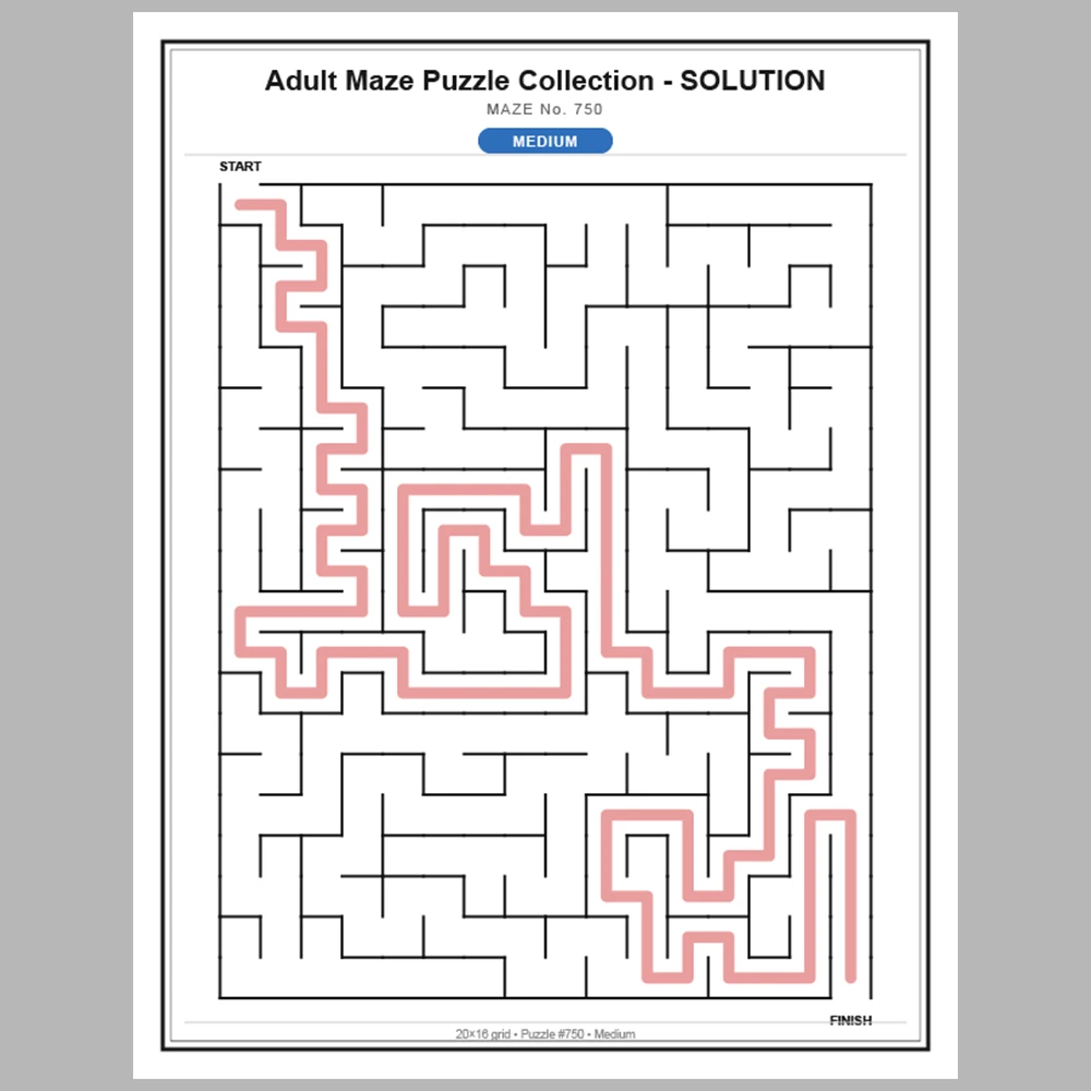 Maze Puzzle Medium 50 Pages of Puzzles – Vol. 16