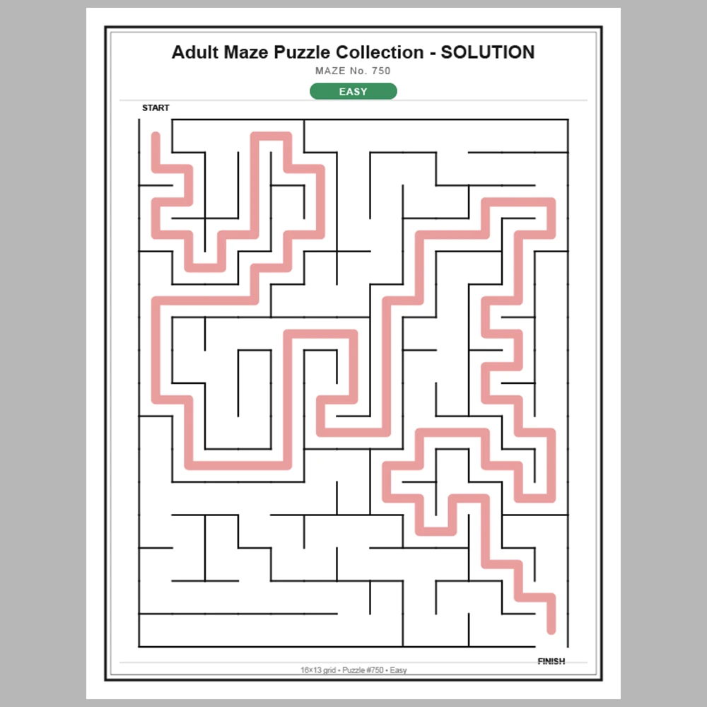 Maze Puzzle Easy 50 Pages of Puzzles – Vol. 16