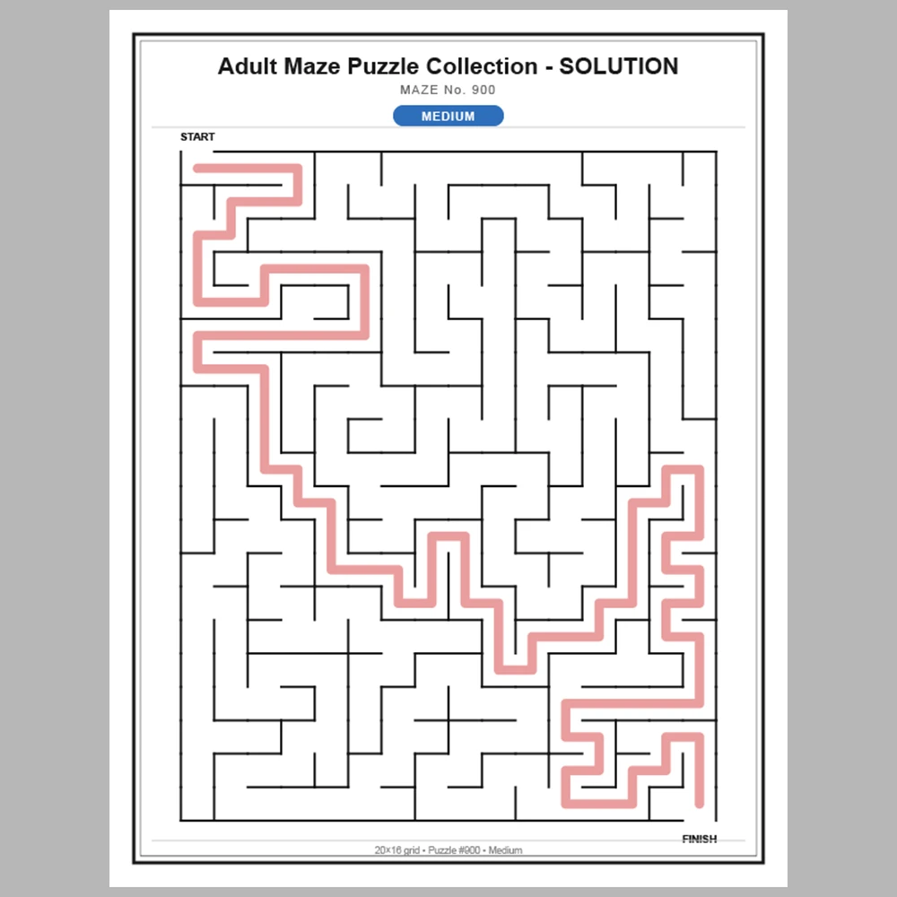 Maze Puzzle Medium 50 Pages of Puzzles – Vol. 19