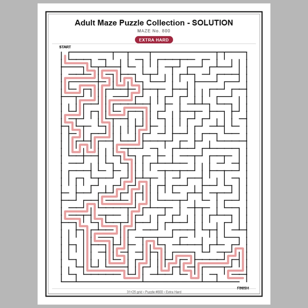 Maze Puzzle Extra Hard 50 Pages of Puzzles – Vol. 17