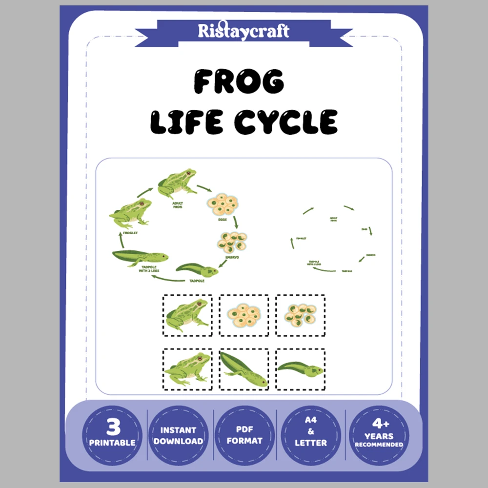Frog Life Cycle