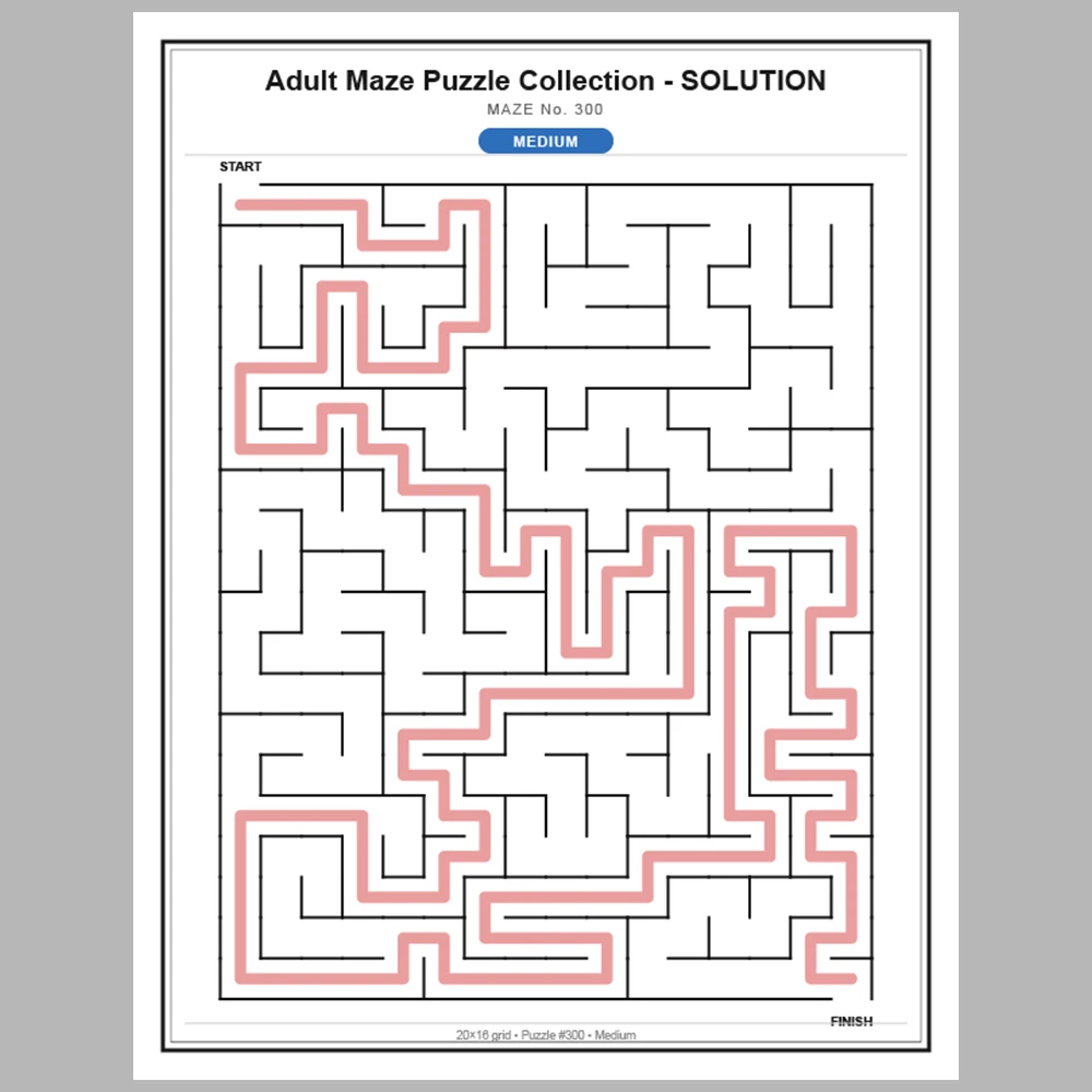Maze Puzzle Medium 50 Pages of Puzzles – Vol. 7