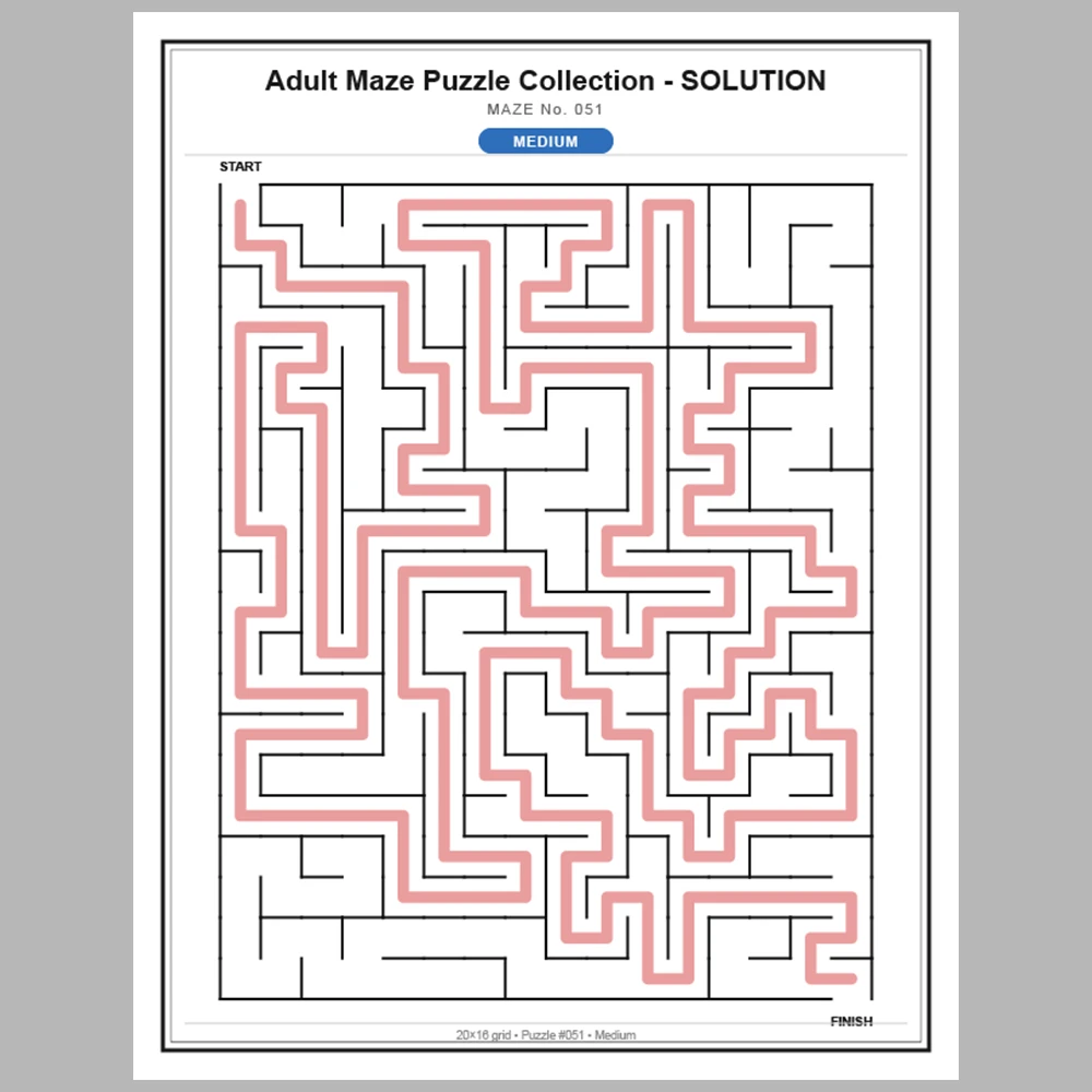Maze Puzzle Medium 50 Pages of Puzzles – Vol. 2