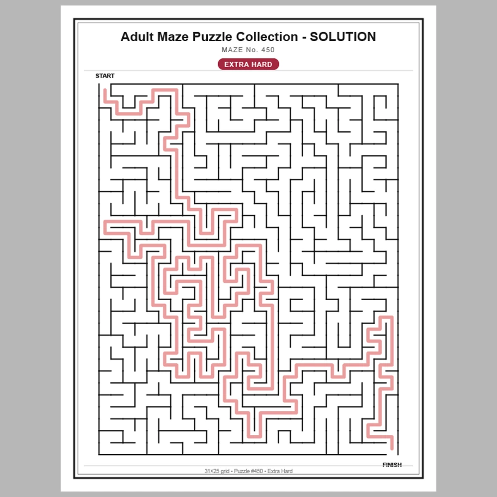 Maze Puzzle Extra Hard 50 Pages of Puzzles – Vol. 10