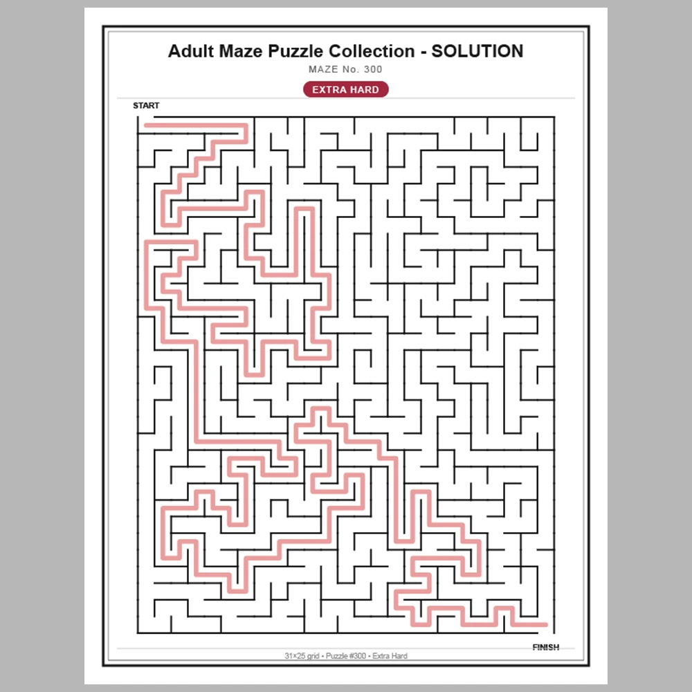 Maze Puzzle Extra Hard 50 Pages of Puzzles – Vol. 7