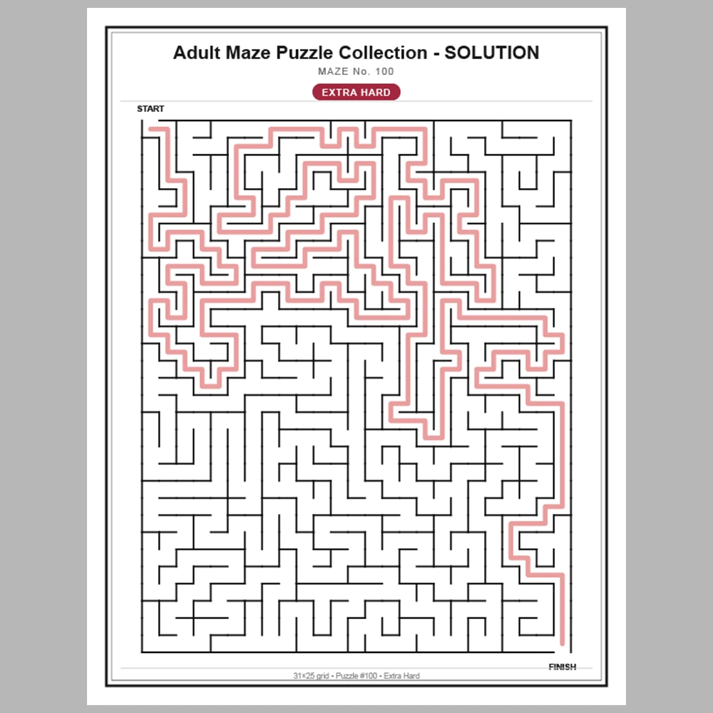 Maze Puzzle Extra Hard 50 Pages of Puzzles – Vol. 3