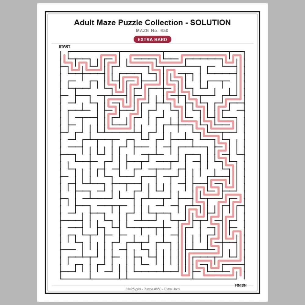 Maze Puzzle Extra Hard 50 Pages of Puzzles – Vol. 14