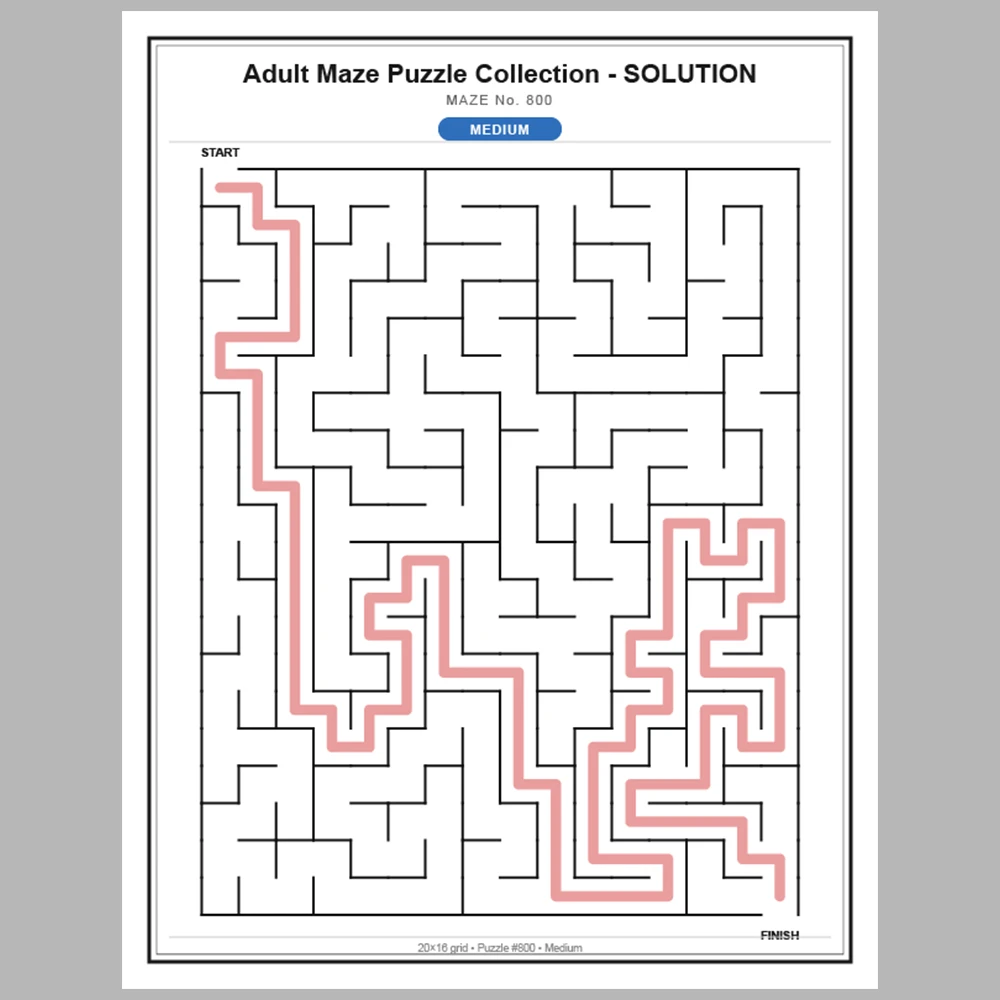 Maze Puzzle Medium 50 Pages of Puzzles – Vol. 17