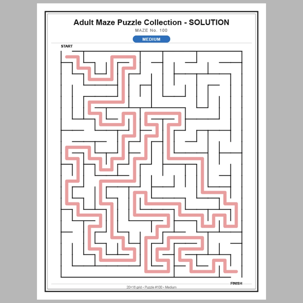 Maze Puzzle Medium 50 Pages of Puzzles – Vol. 3