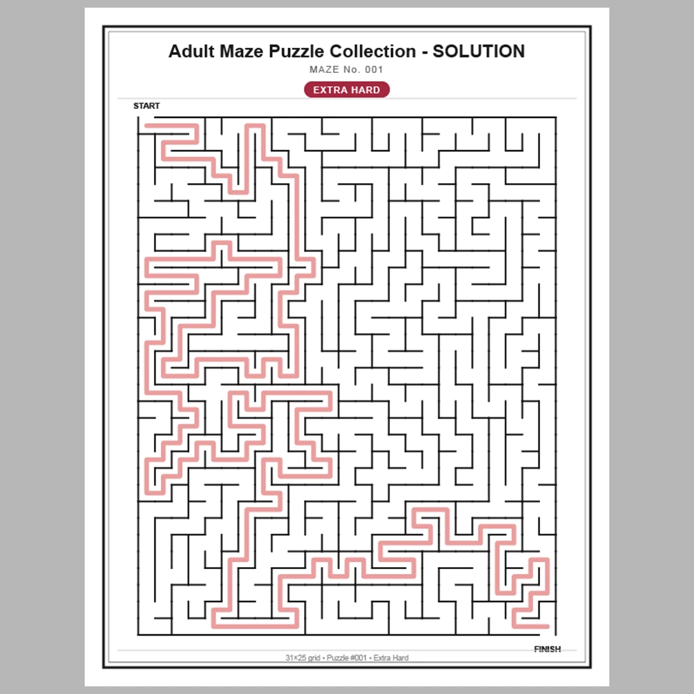 Maze Puzzle Extra Hard 250 Pages of Puzzles – Vol. 1