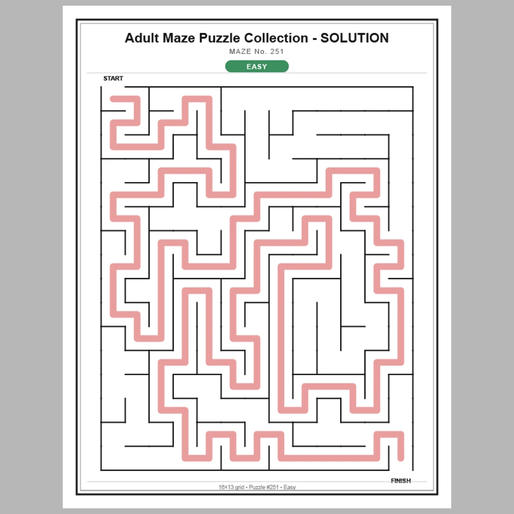 Maze Puzzle Easy 250 Pages of Puzzles – Vol. 2