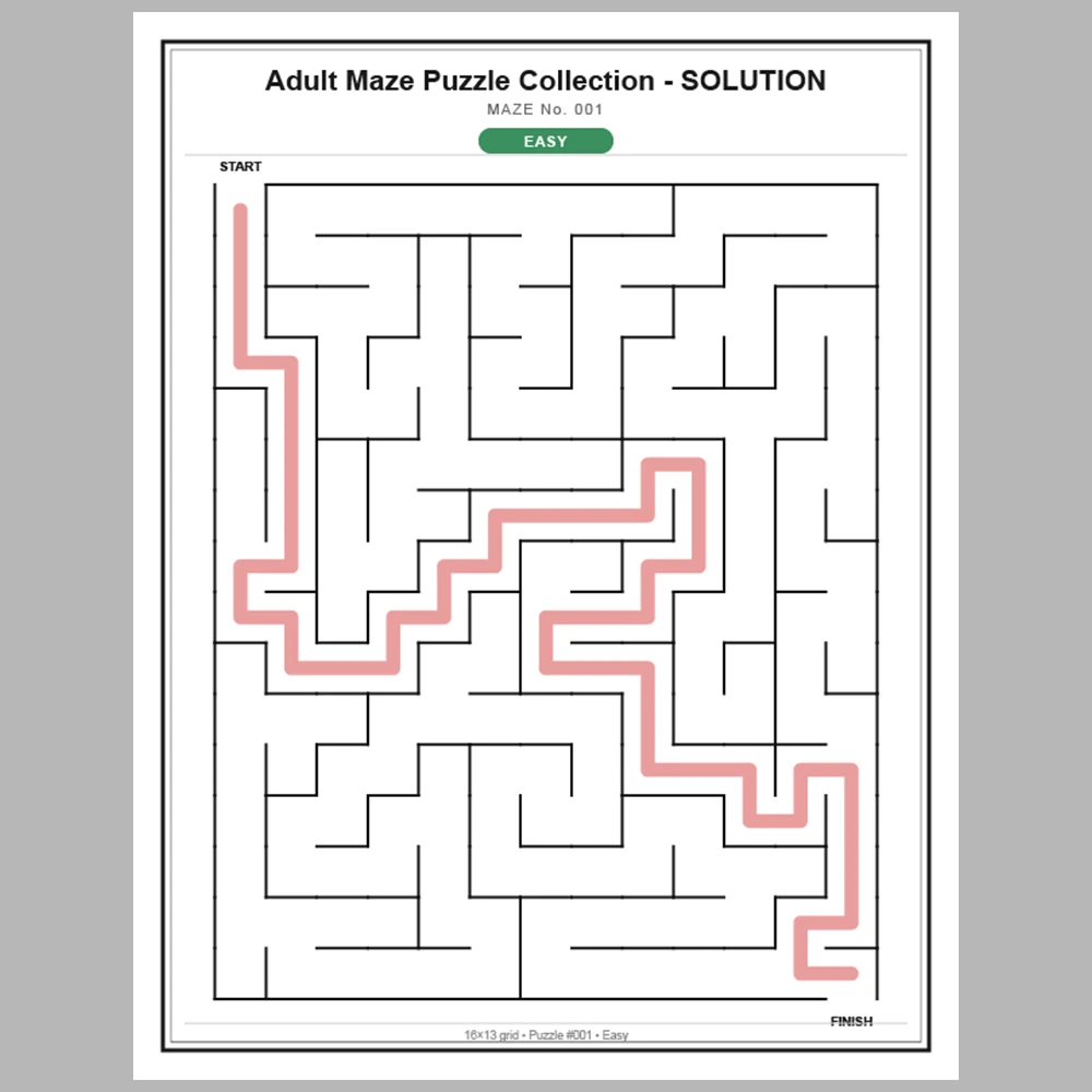Maze Puzzle Easy 250 Pages of Puzzles – Vol. 1
