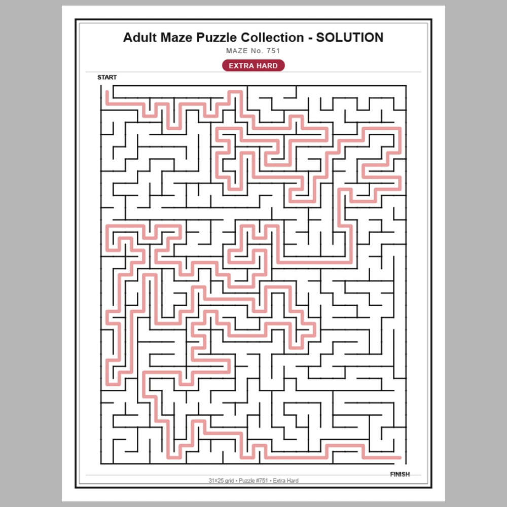 Maze Puzzle Extra Hard 250 Pages of Puzzles – Vol. 4
