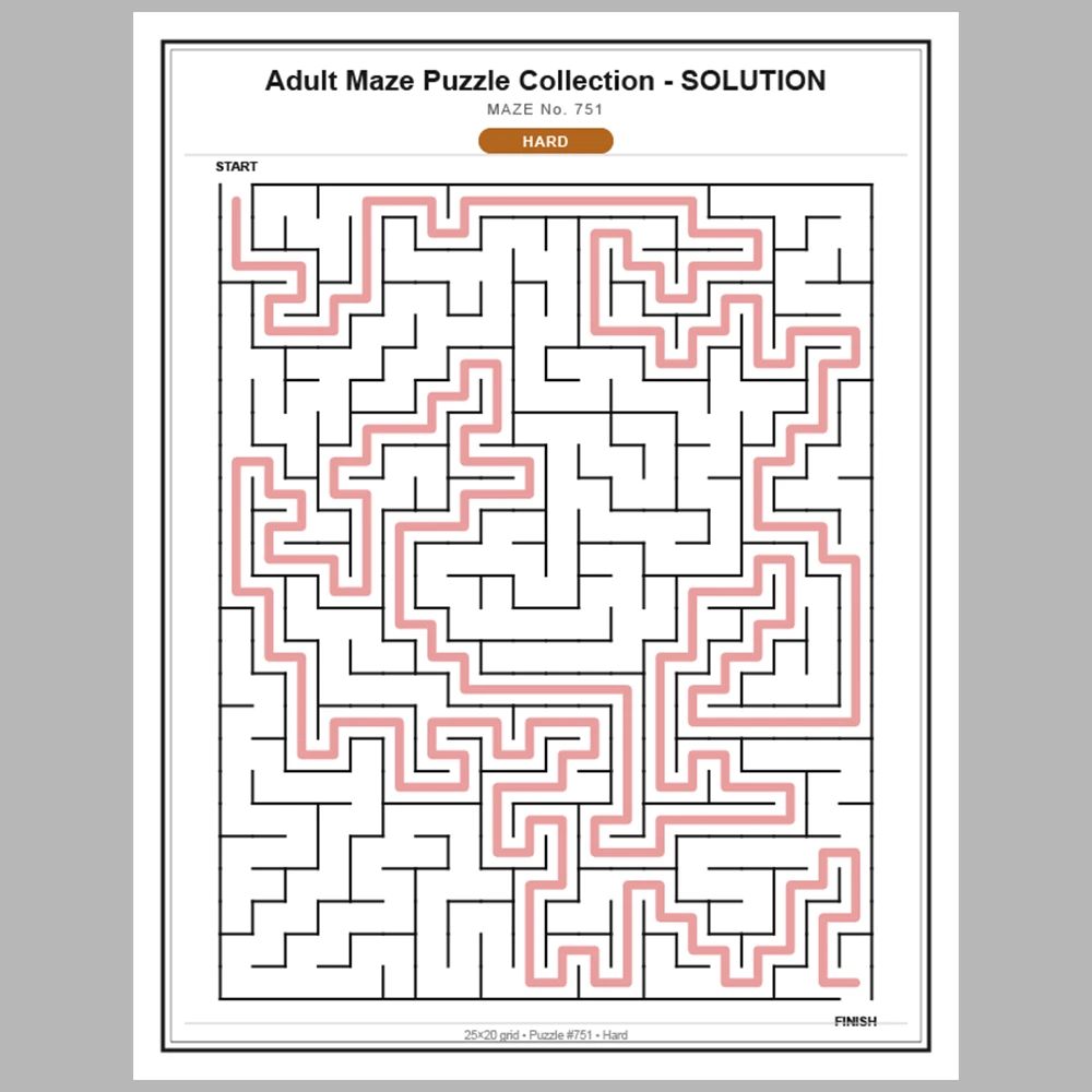 Maze Puzzle Hard 250 Pages of Puzzles – Vol. 4