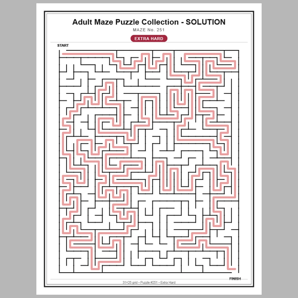 Maze Puzzle Extra Hard 250 Pages of Puzzles – Vol. 2