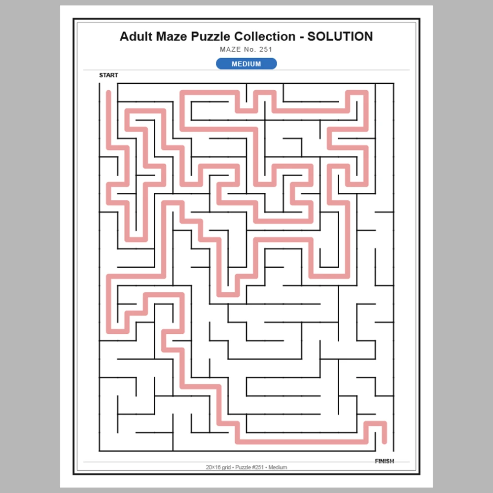 Maze Puzzle Medium 250 Pages of Puzzles – Vol. 2