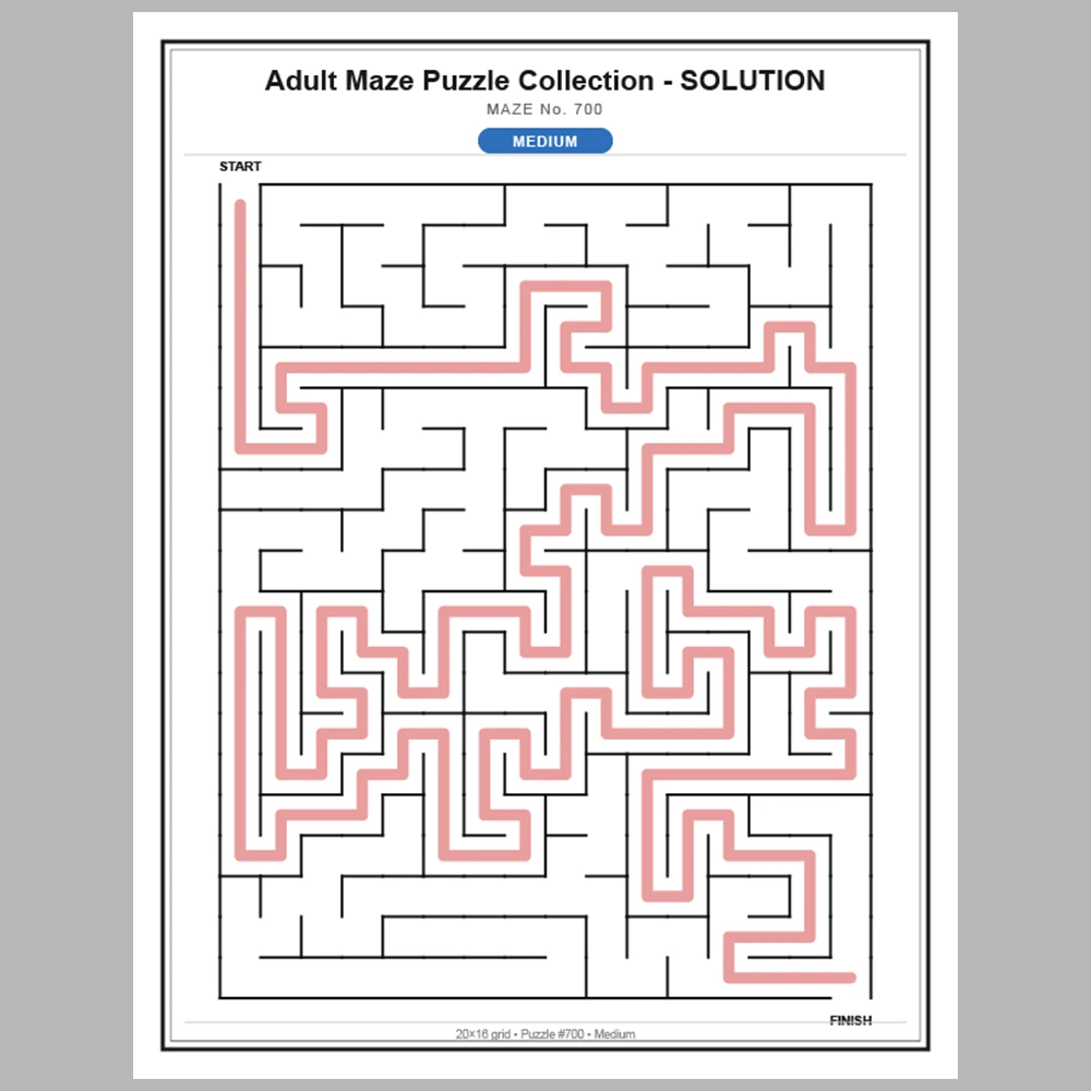 Maze Puzzle Medium 50 Pages of Puzzles – Vol. 15