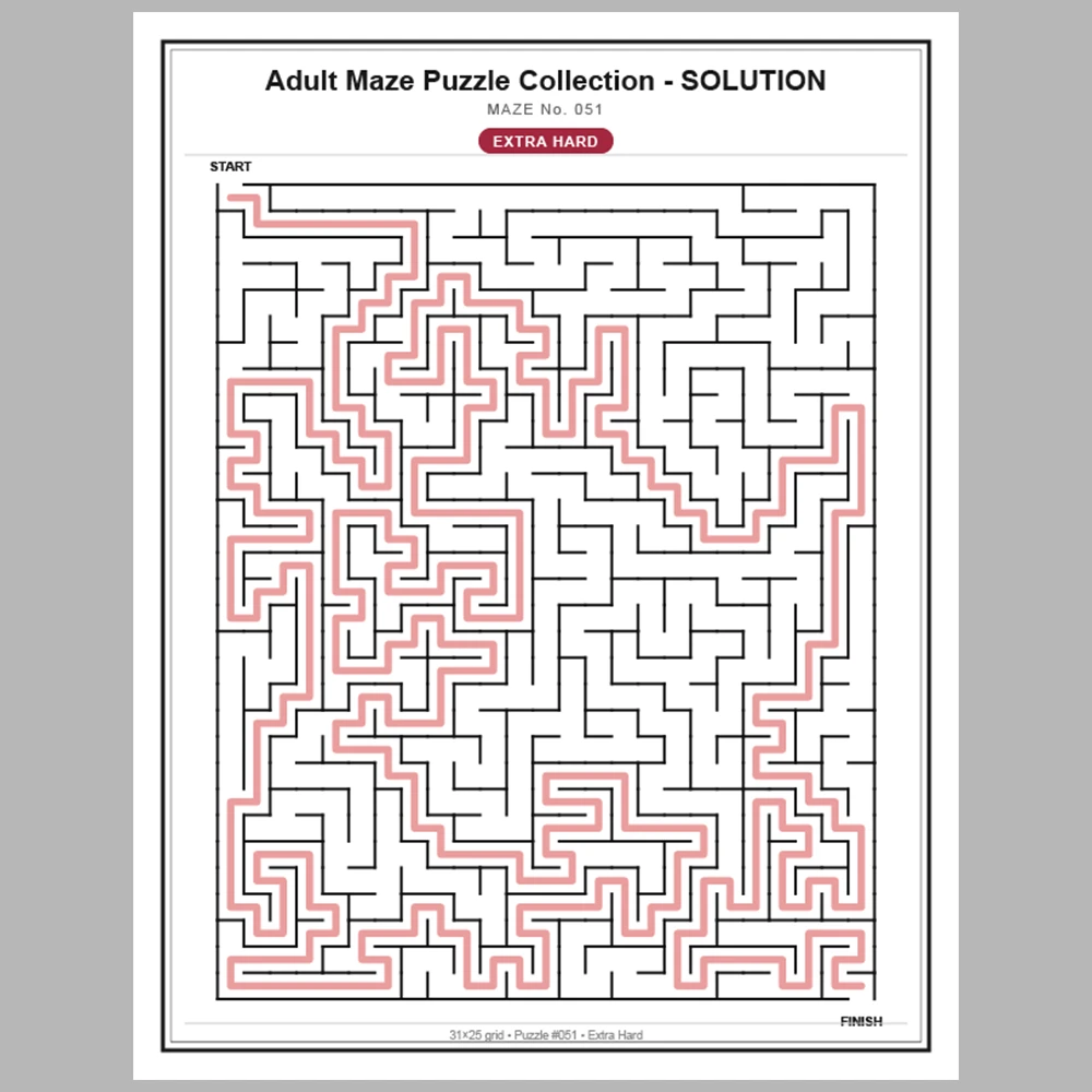 Maze Puzzle Extra Hard 50 Pages of Puzzles – Vol. 2