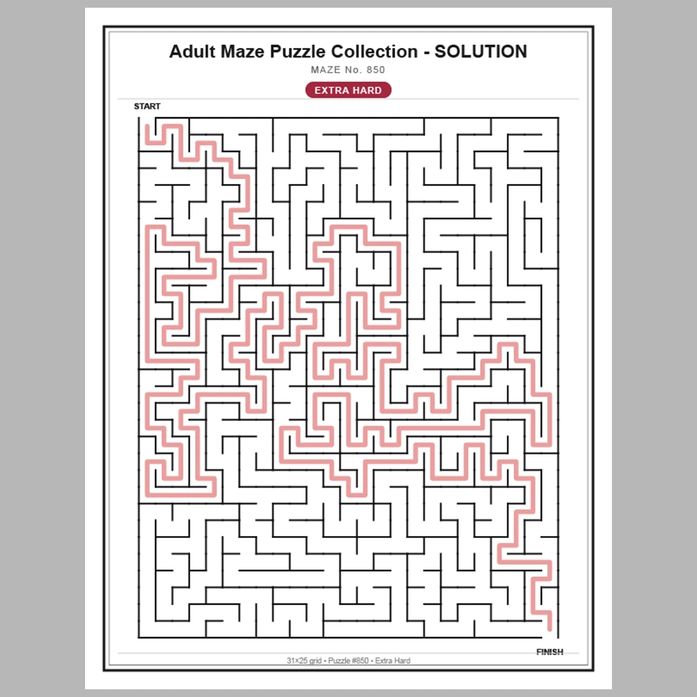 Maze Puzzle Extra Hard 50 Pages of Puzzles – Vol. 18