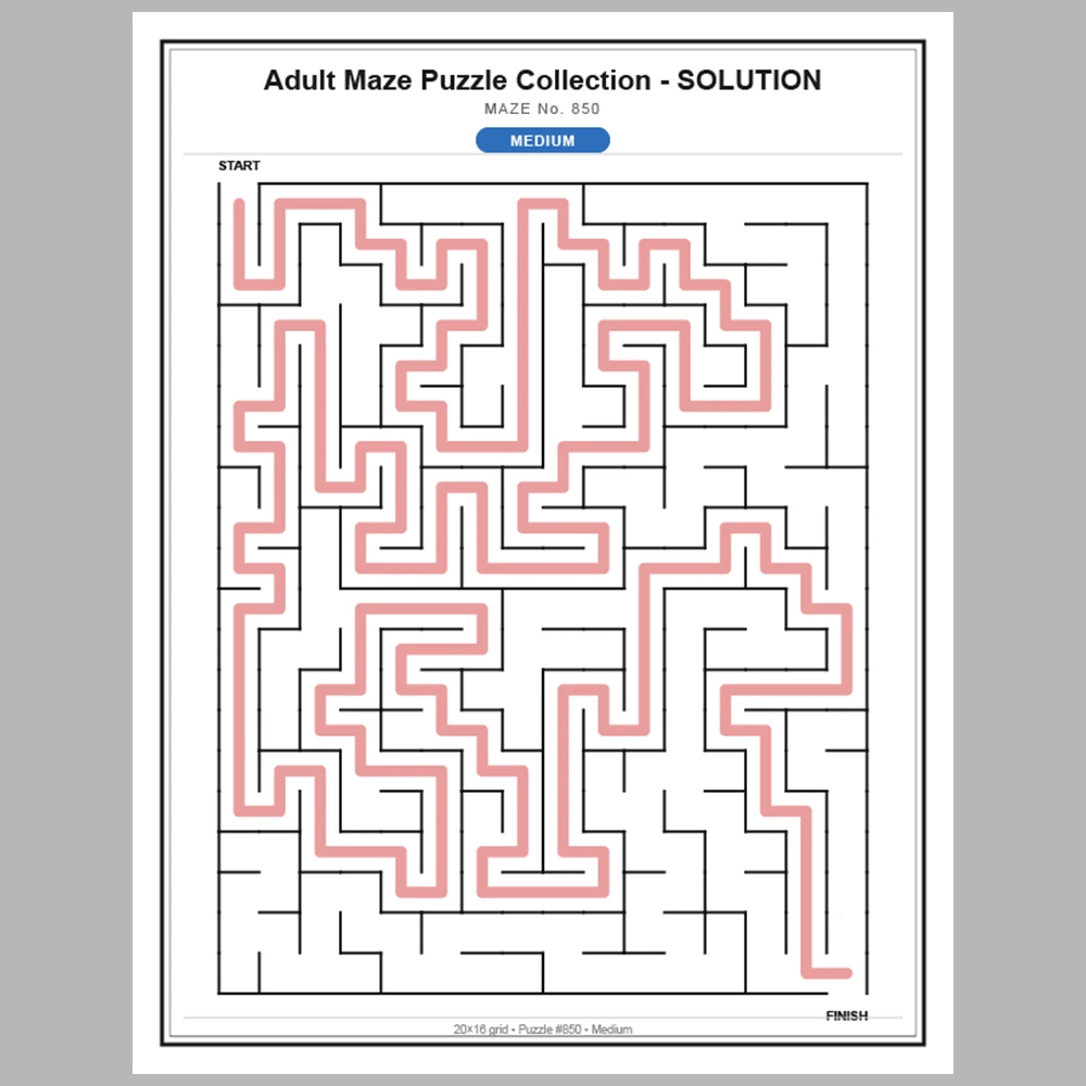 Maze Puzzle Medium 50 Pages of Puzzles – Vol. 18