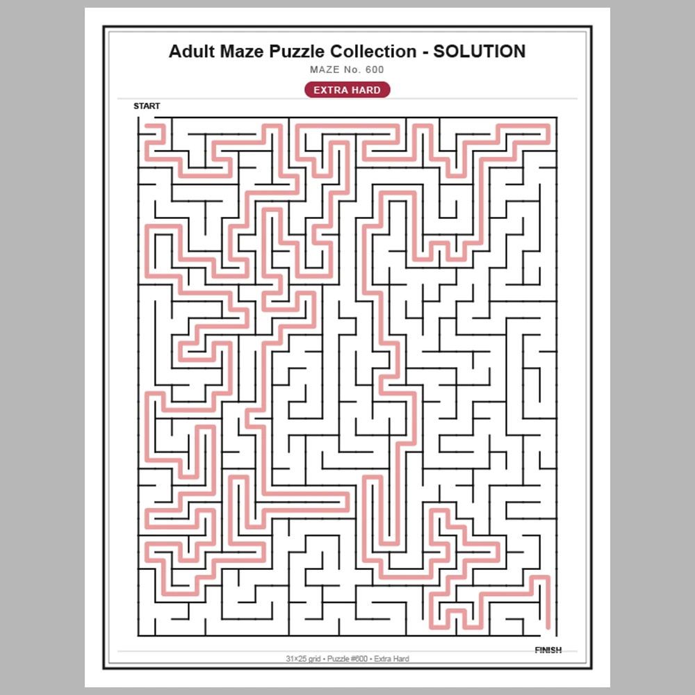 Maze Puzzle Extra Hard 50 Pages of Puzzles – Vol. 13