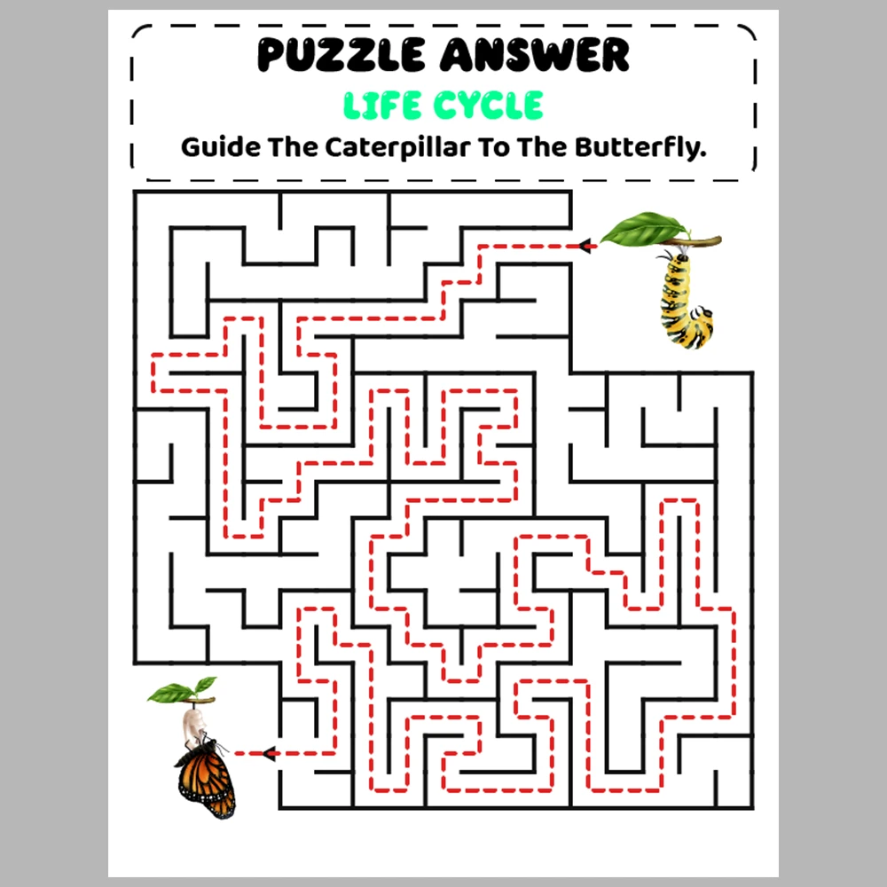 Life Cycle Kids Maze Puzzle 10 Pages of Puzzles
