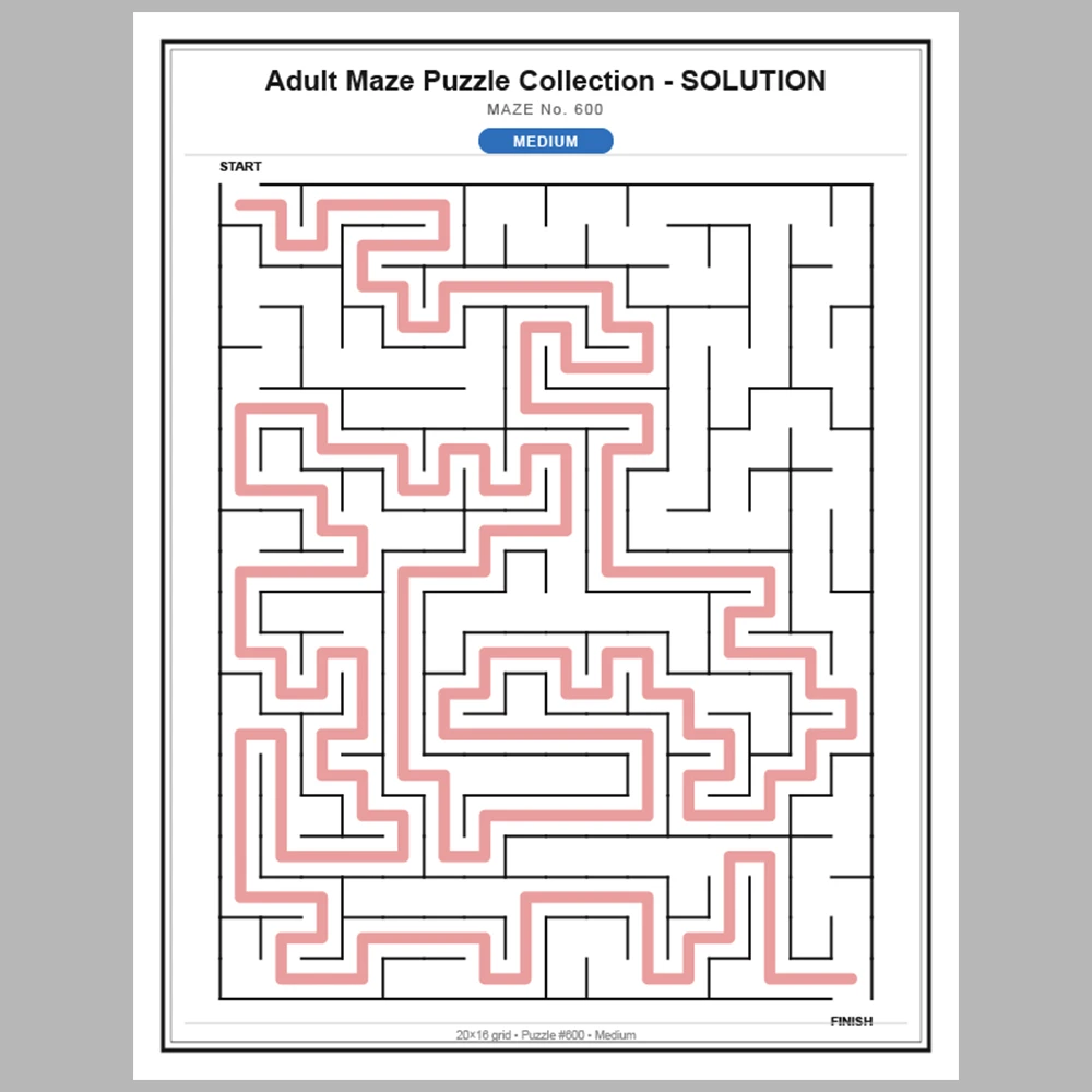 Maze Puzzle Medium 50 Pages of Puzzles – Vol. 13