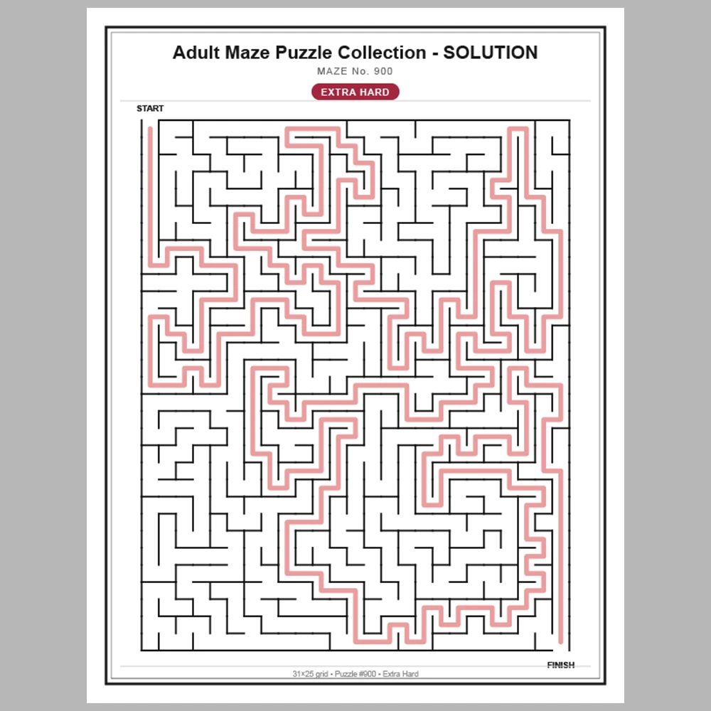Maze Puzzle Extra Hard 50 Pages of Puzzles – Vol. 19
