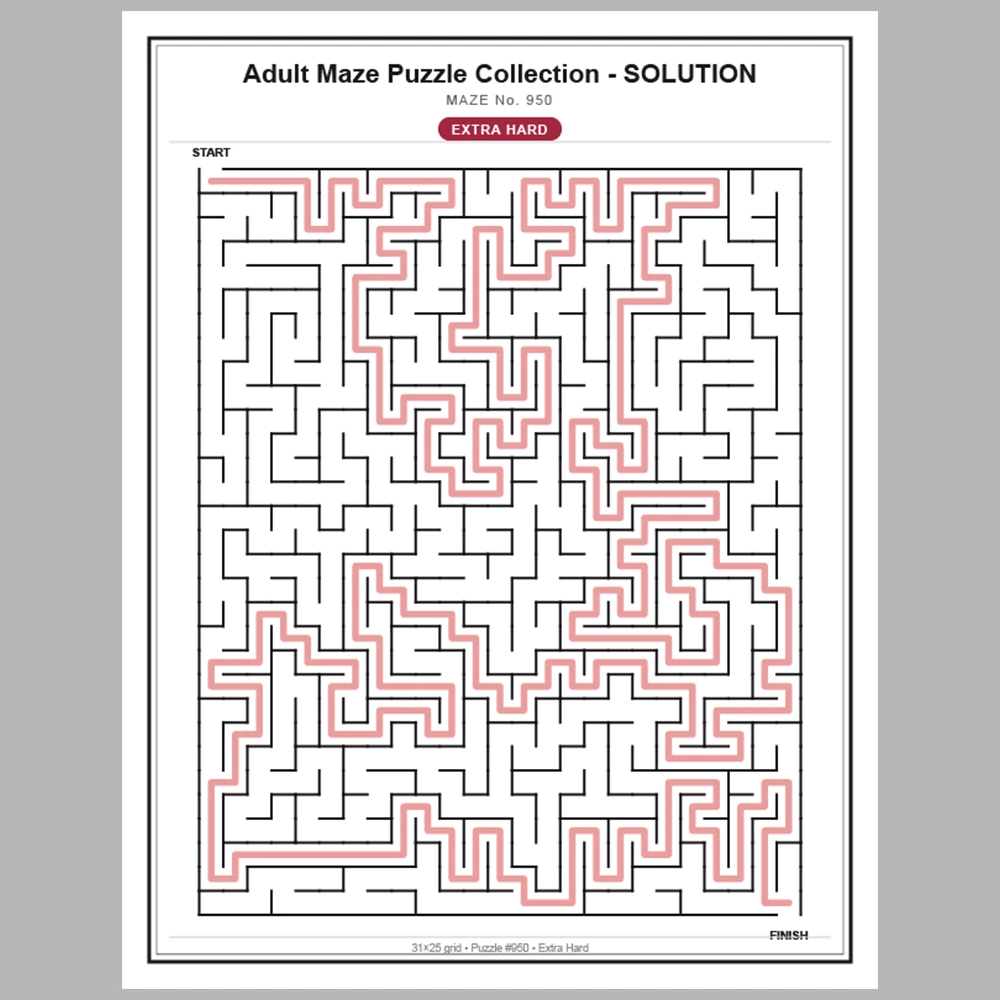 Maze Puzzle Extra Hard 50 Pages of Puzzles – Vol. 20