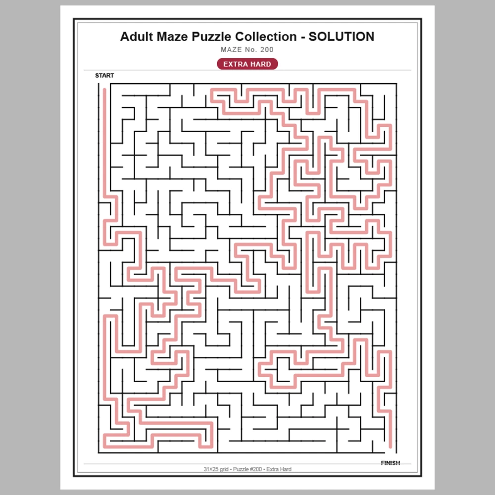 Maze Puzzle Extra Hard 50 Pages of Puzzles – Vol. 5