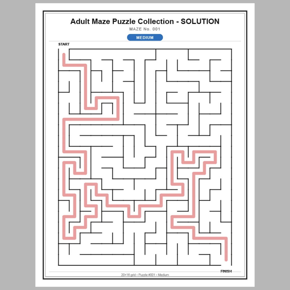 Maze Puzzle Medium 50 Pages of Puzzles – Vol. 1