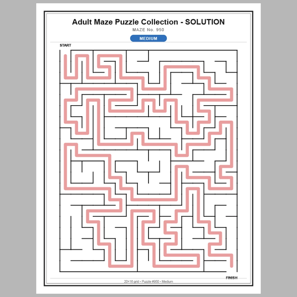 Maze Puzzle Medium 50 Pages of Puzzles – Vol. 20
