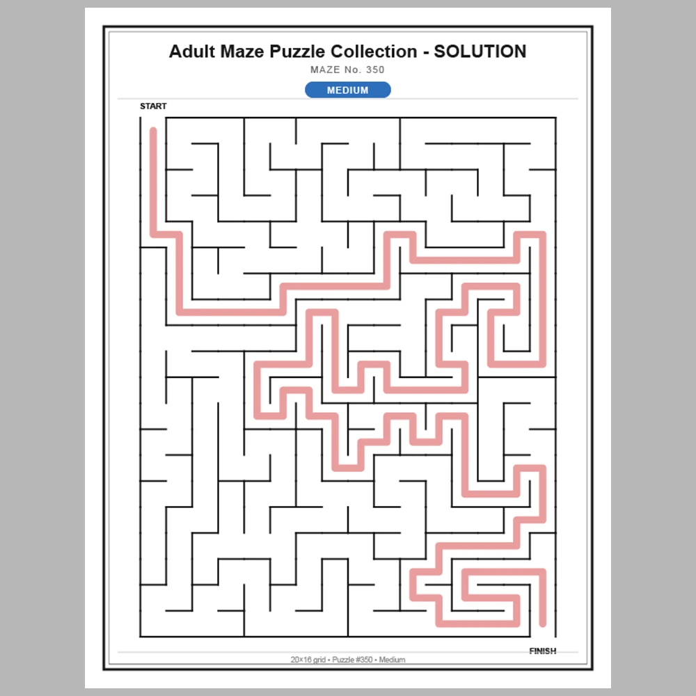 Maze Puzzle Medium 50 Pages of Puzzles – Vol. 8
