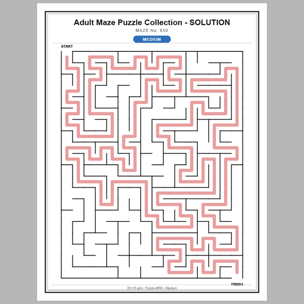 Maze Puzzle Medium 50 Pages of Puzzles – Vol. 14