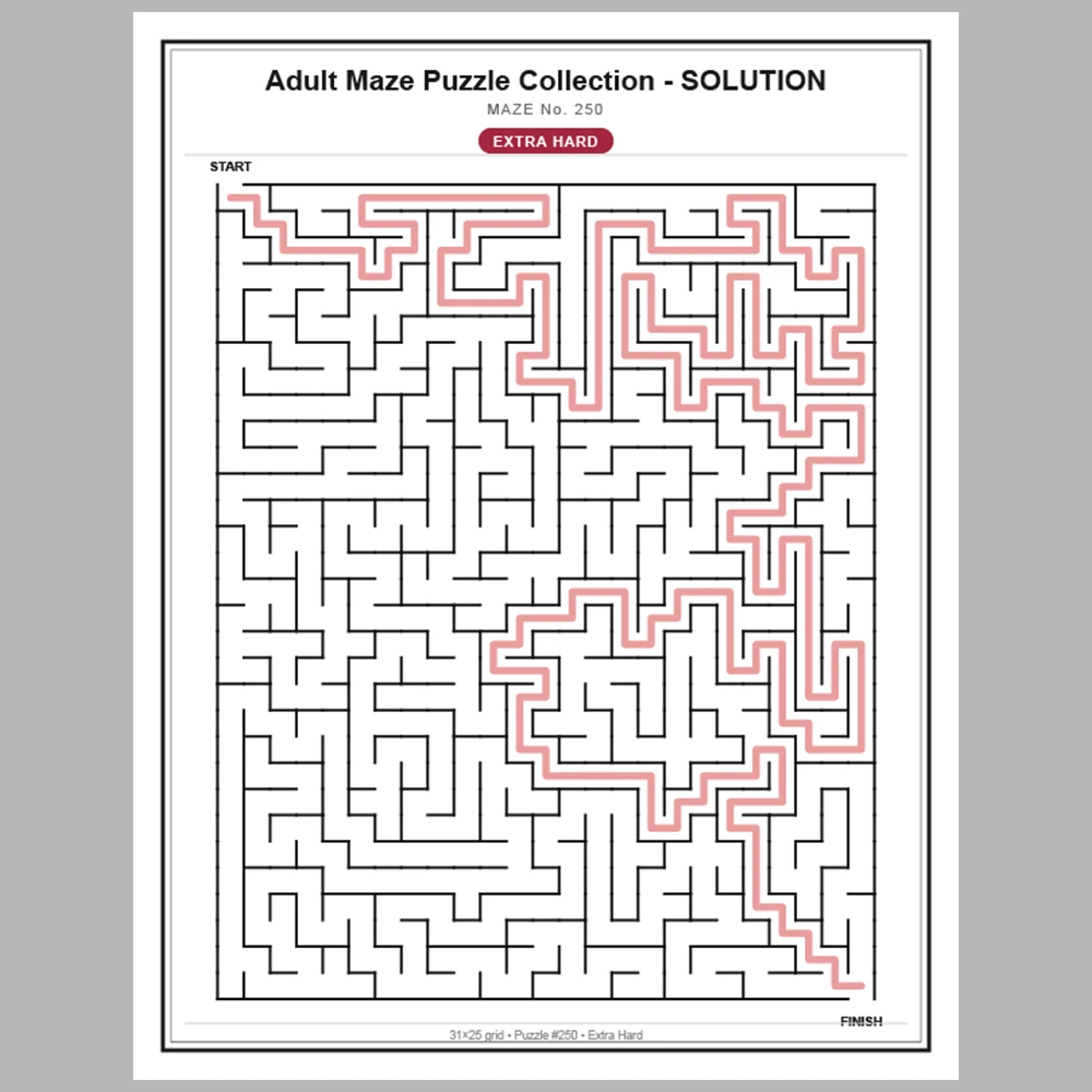 Maze Puzzle Extra Hard 50 Pages of Puzzles – Vol. 6