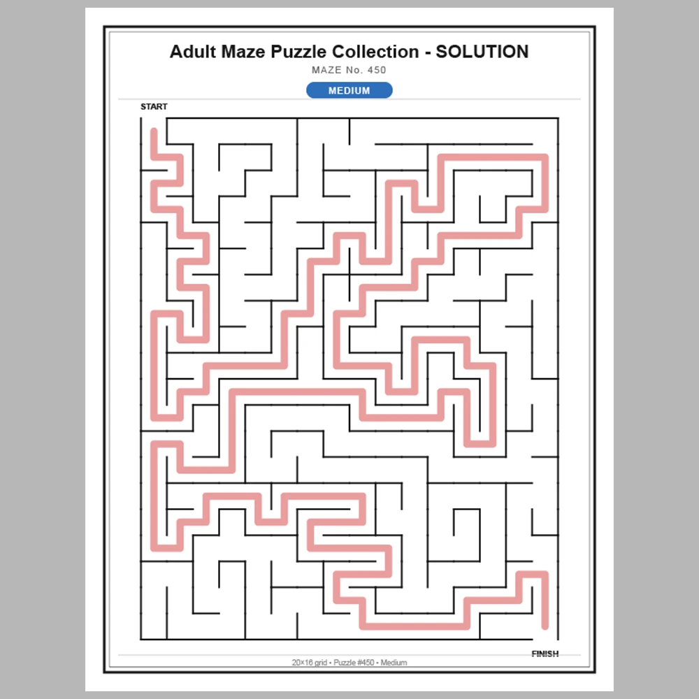 Maze Puzzle Medium 50 Pages of Puzzles – Vol. 10