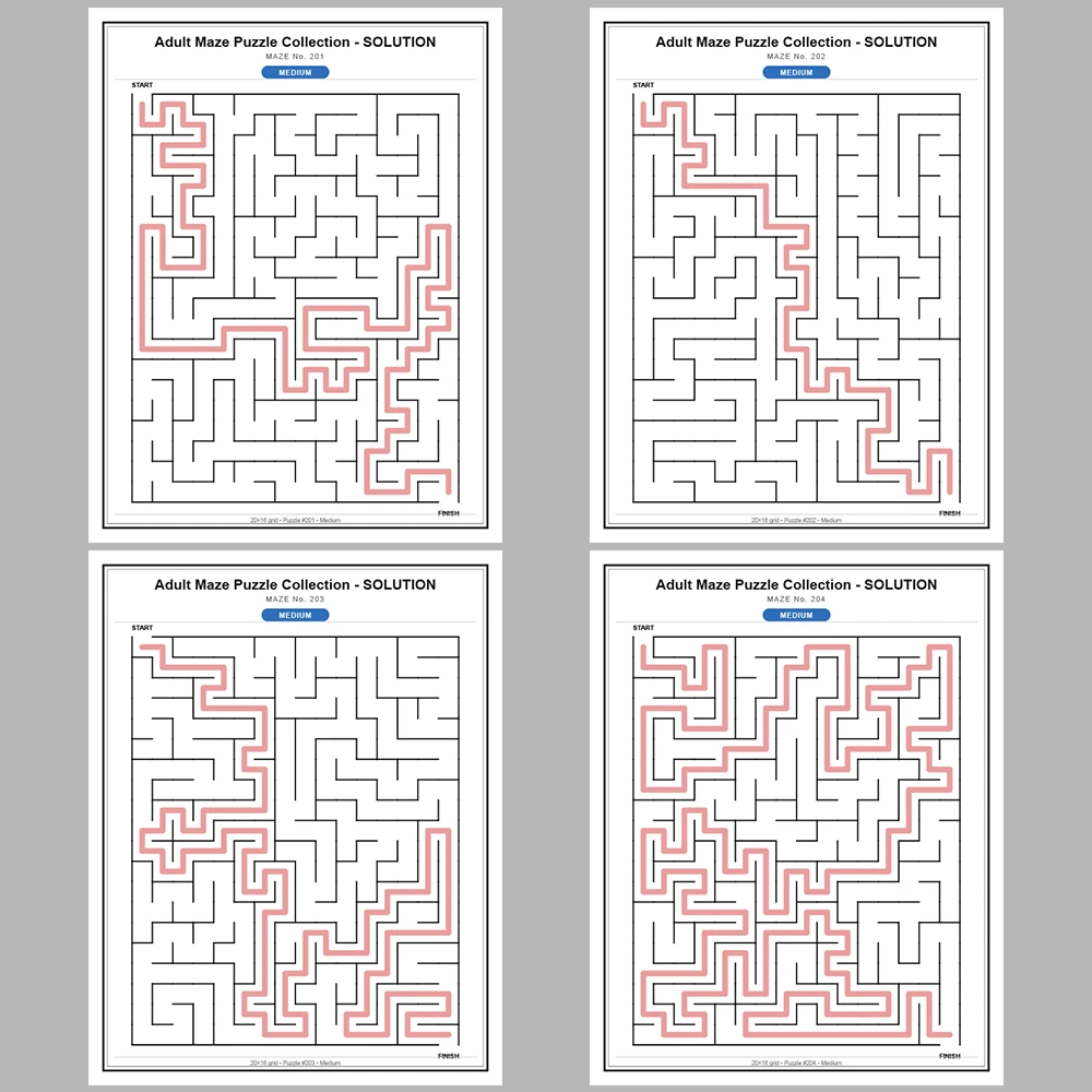 Maze Puzzle Medium 50 Pages of Puzzles – Vol. 5