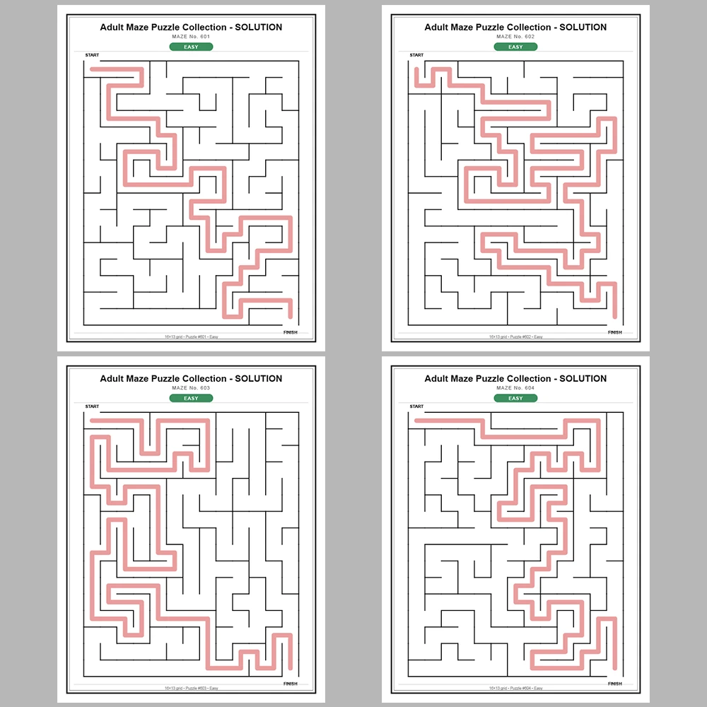 Maze Puzzle Easy 50 Pages of Puzzles – Vol. 13