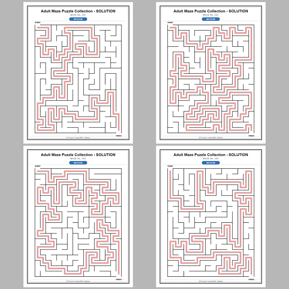 Maze Puzzle Medium 50 Pages of Puzzles – Vol. 11