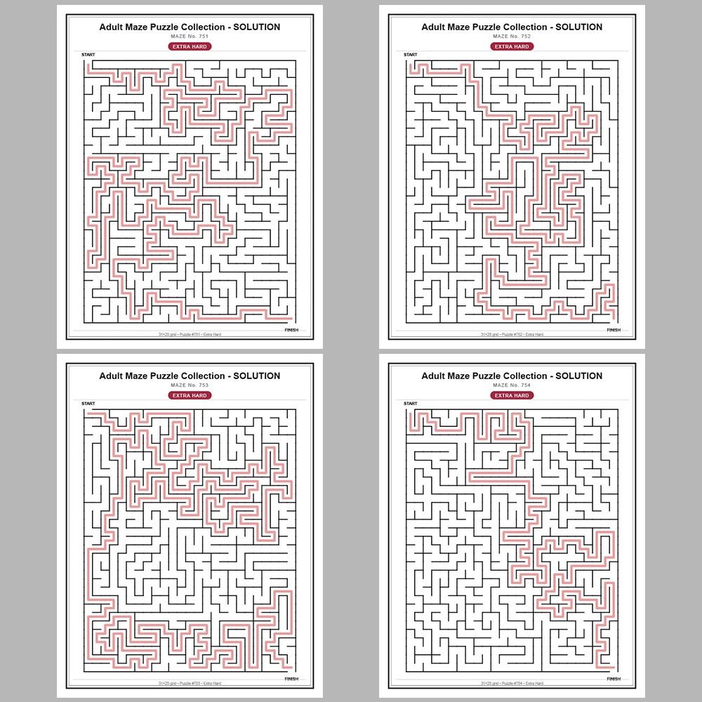 Maze Puzzle Extra Hard 50 Pages of Puzzles – Vol. 16