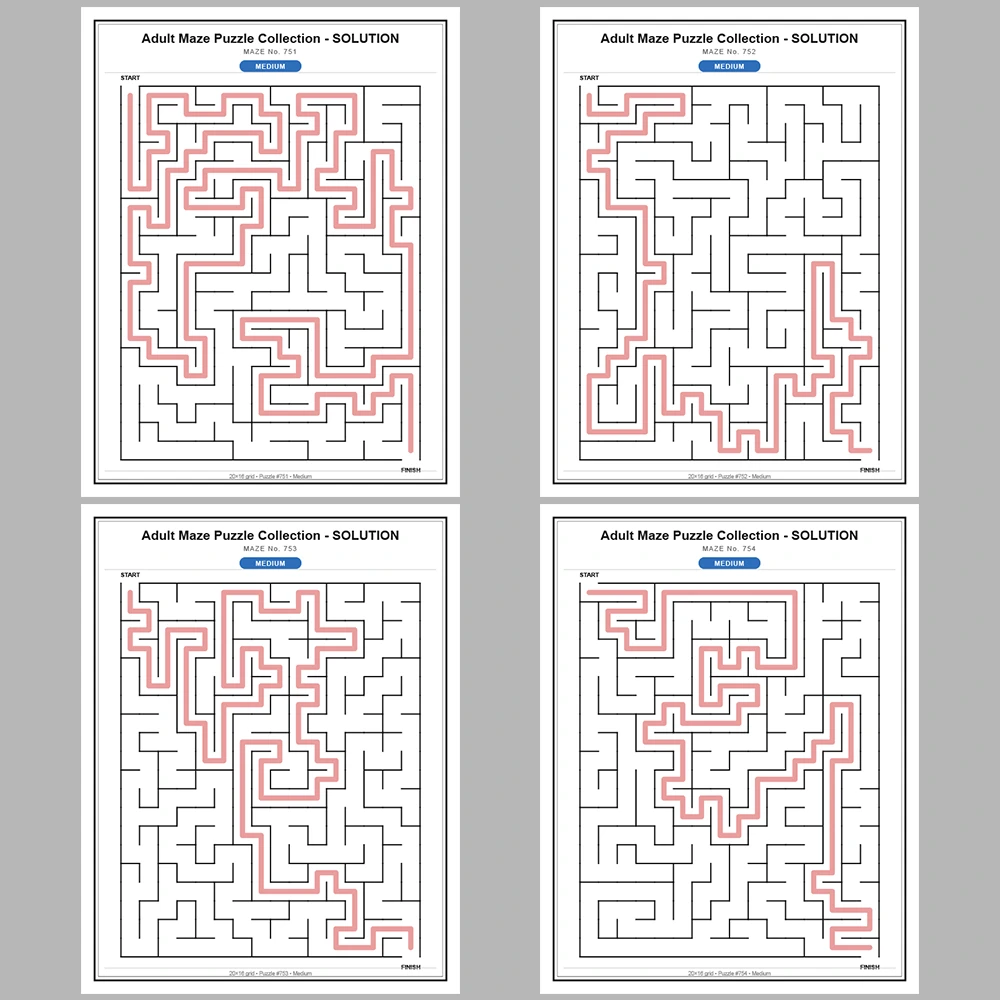 Maze Puzzle Medium 50 Pages of Puzzles – Vol. 16