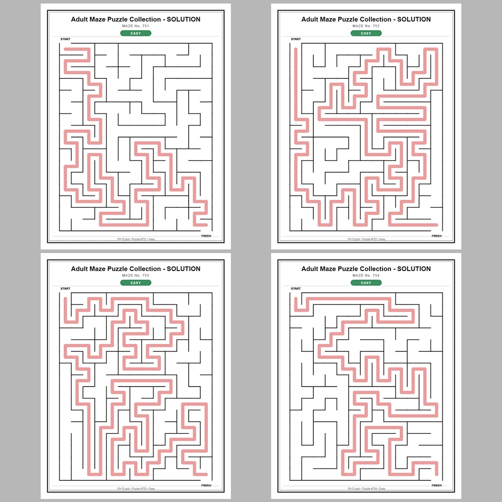 Maze Puzzle Easy 50 Pages of Puzzles – Vol. 16